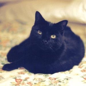 Meet your Posher, Janis